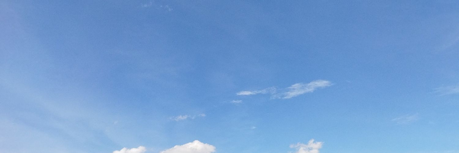 Hubiisun's profile banner image