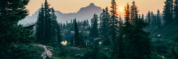 JenMorrisNature Profile Banner