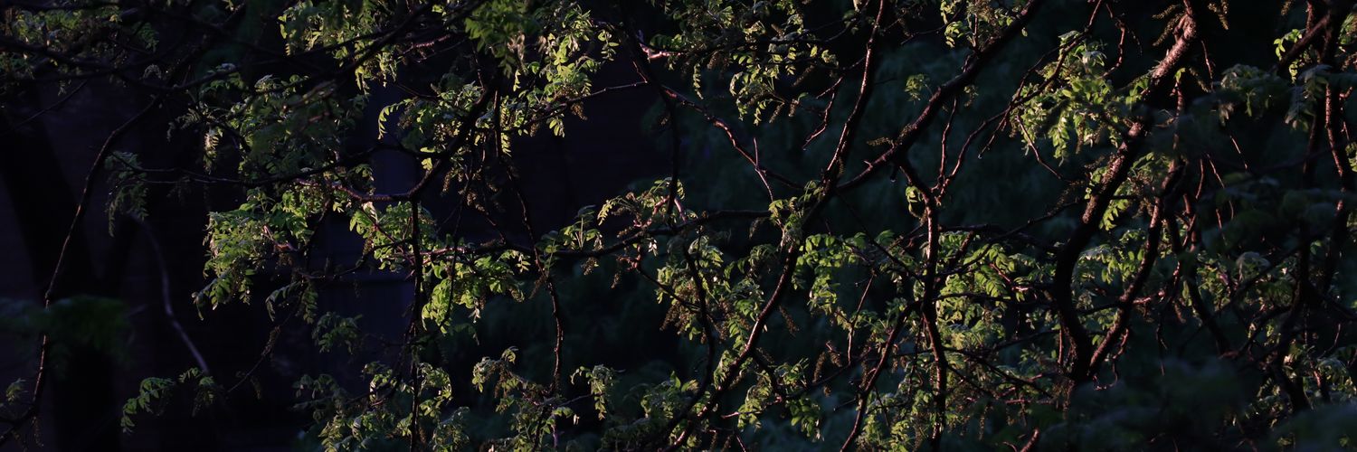 kChitboy's profile banner image