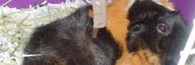 nkurza's profile banner image