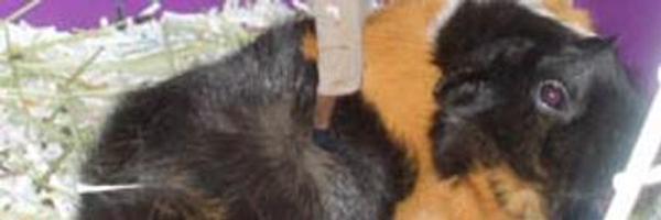 nkurza Profile Banner