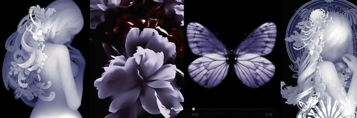 auroraxella's profile banner image