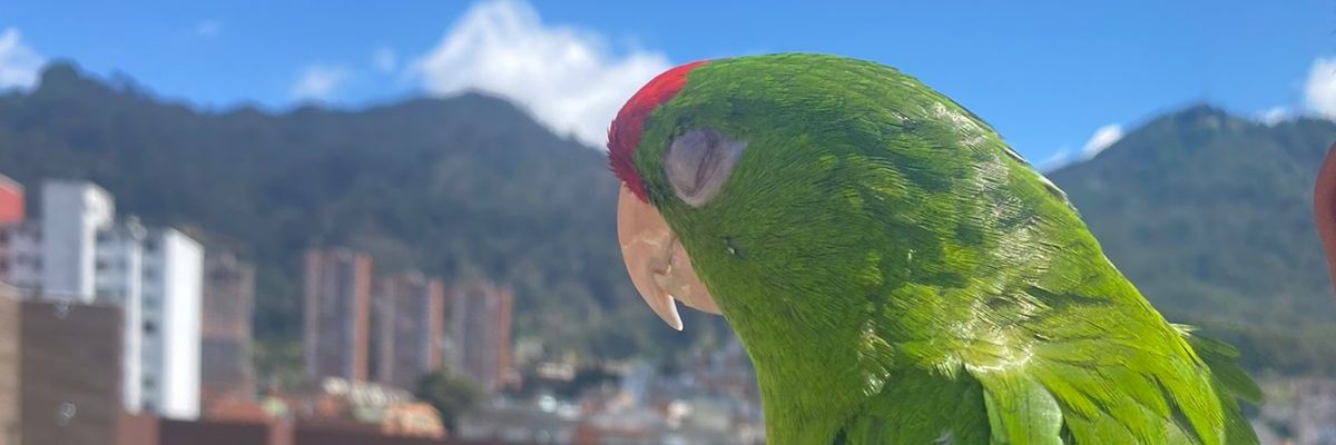 snjcl_'s profile banner image