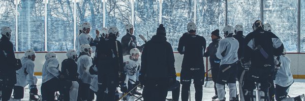 GooseOnTheMoose Profile Banner