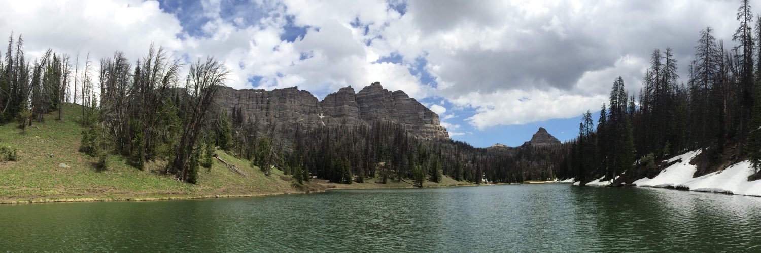 Will Altemueller banner