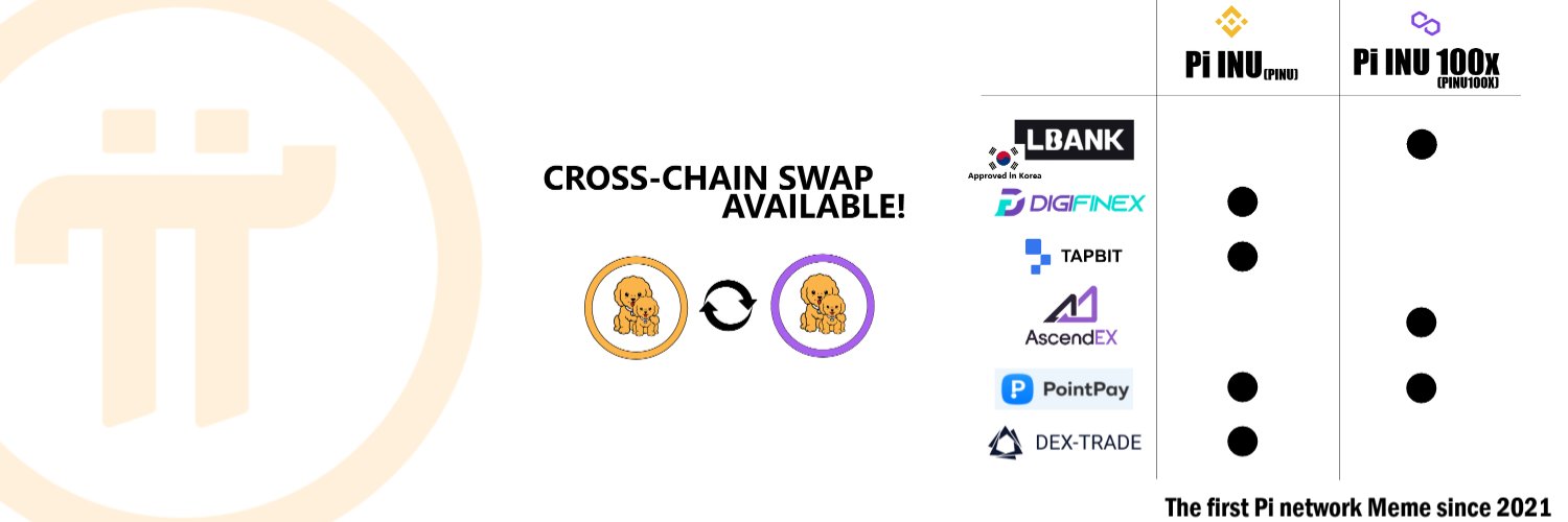 Pi INU Token banner