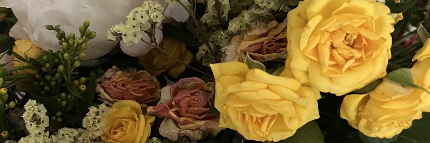 luisagonzaalez's profile banner image