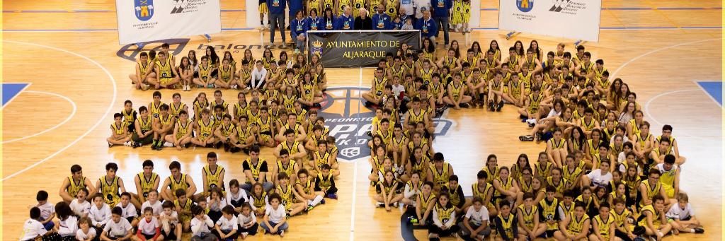 PMD ALJARAQUE banner