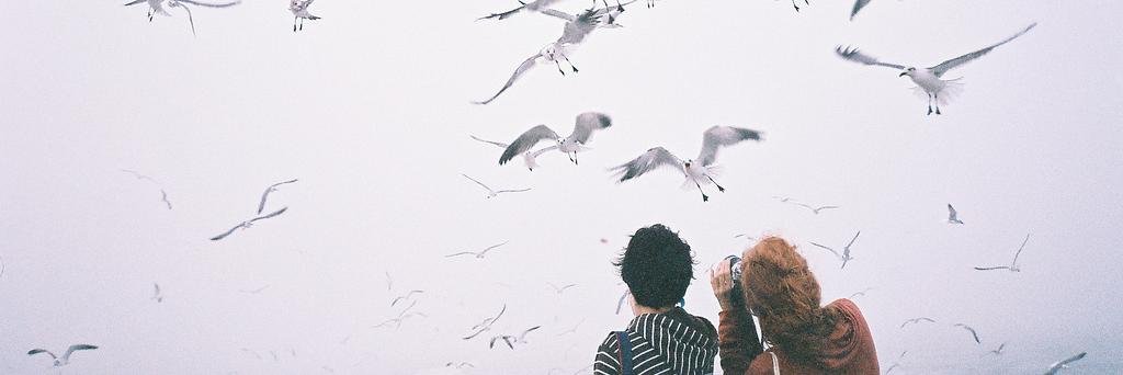 Rue____RSR's profile banner image