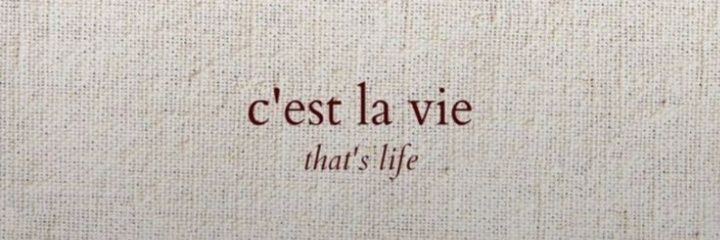 z banner
