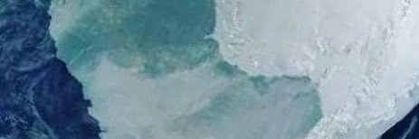 isblomster's profile banner image