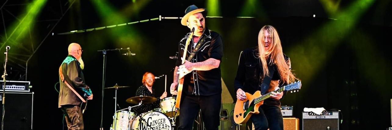 Ginger Wildheart & The Sinners banner