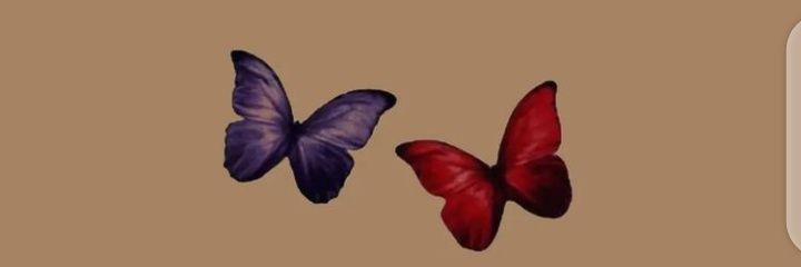 Joyfull42385002's profile banner image