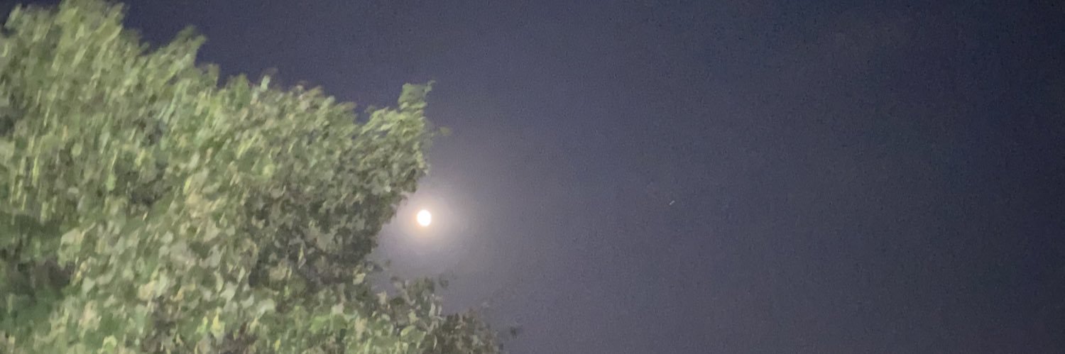 LiverBird Lizzy Evo⭐️ banner