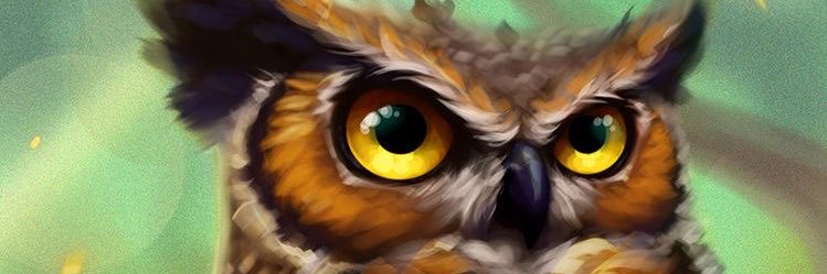 NerdyOwl banner