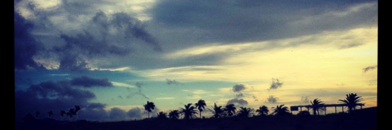 survivemasssy's profile banner image