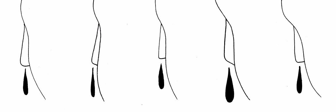 nosebleedcomics's profile banner image