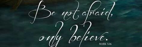 Lot🌹🌸💕 banner