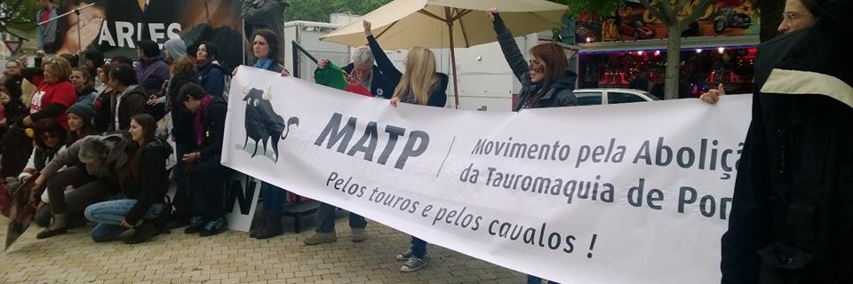 MATPBULLPROTECT's profile banner image