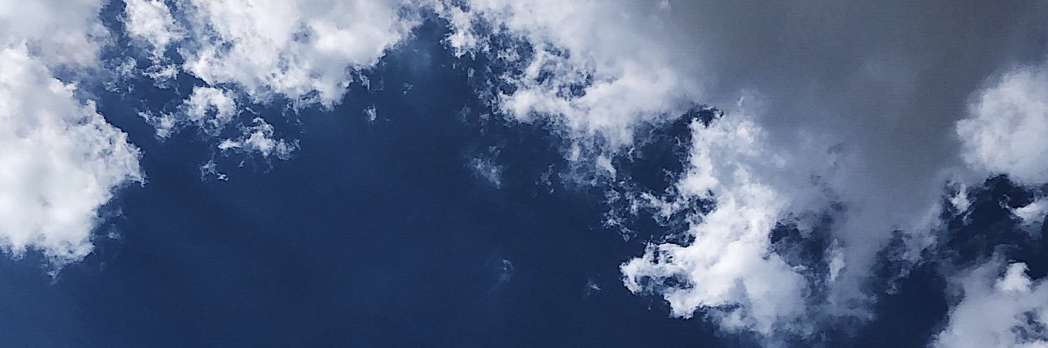 dianavarella's profile banner image