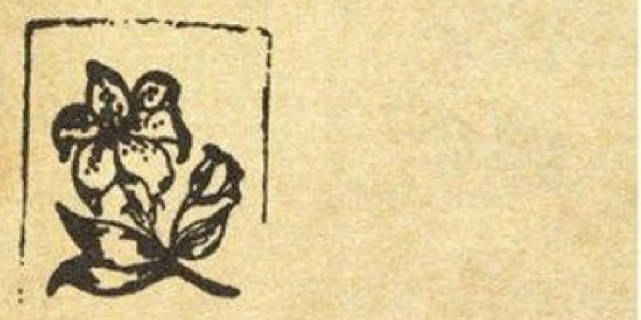 sardubbs's profile banner image