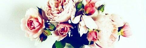 Mipps224's profile banner image