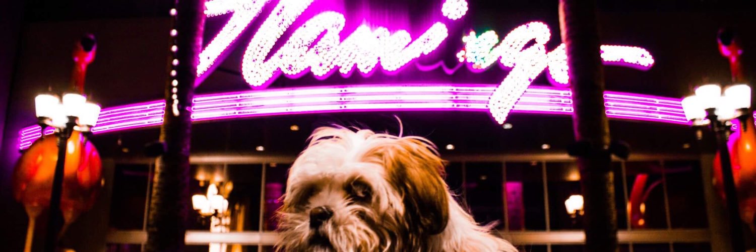 C8H10N4O2Girl's profile banner image