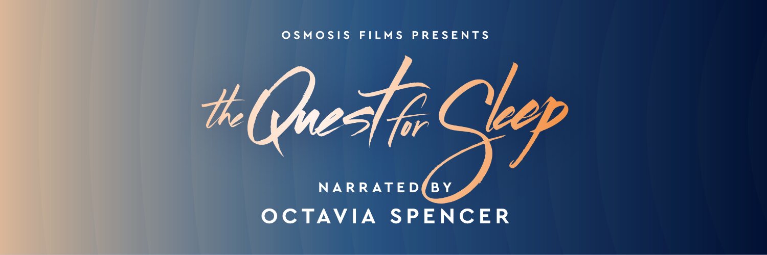 Quest For Sleep banner