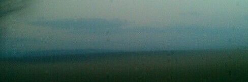 laii banner