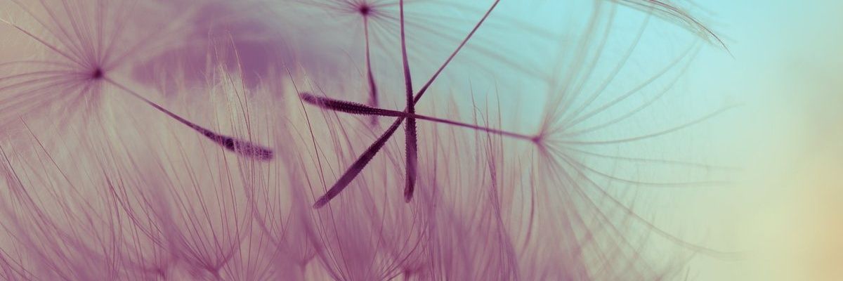 Nadia_Dec's profile banner image