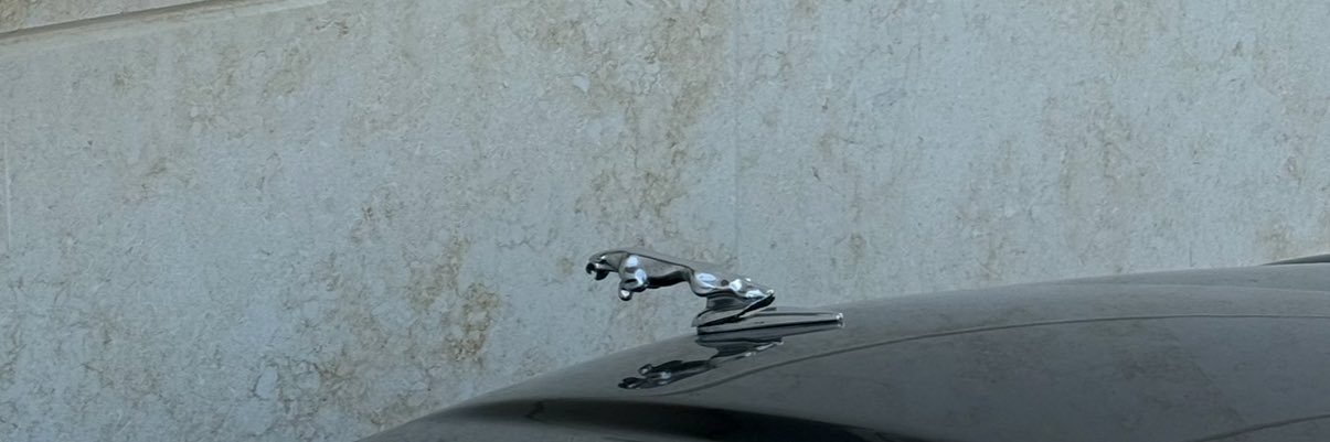 teealoverr's profile banner image