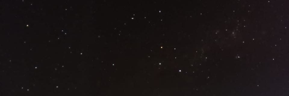 𝐝𝐚𝐢𝐬𝐲 banner