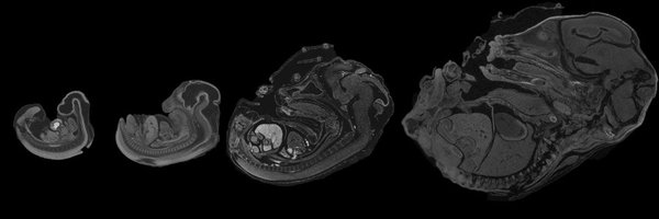 LabYohe Profile Banner