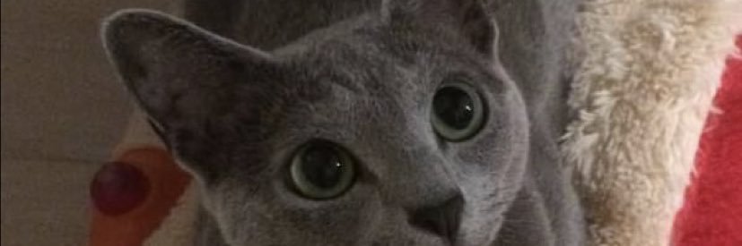 web3finesser's profile banner image