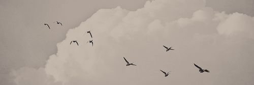 Lodi_121's profile banner image