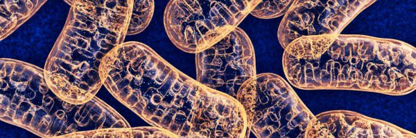 EmmaGuilbaud Profile Banner