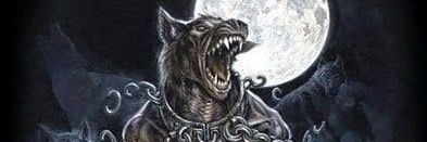 A_Geek_Bear's profile banner image