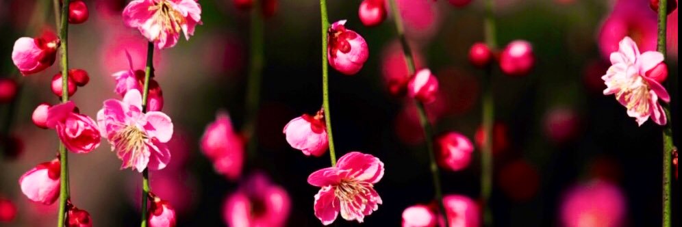 loolaa_369's profile banner image