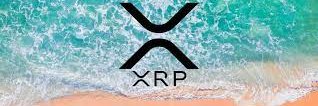 XRP & SURFING banner