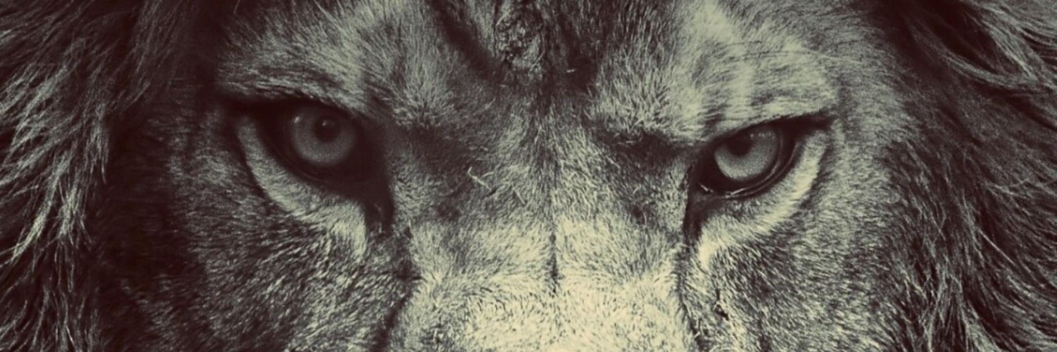 Alibi83772701's profile banner image