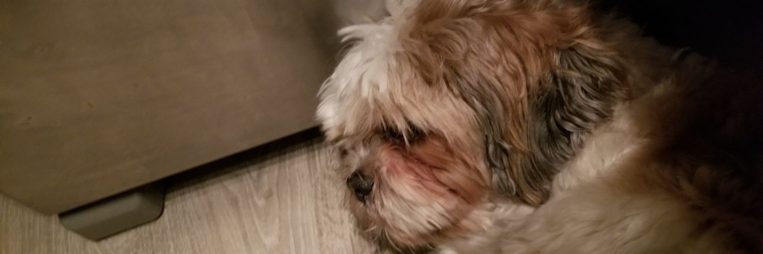 Bogglert's profile banner image