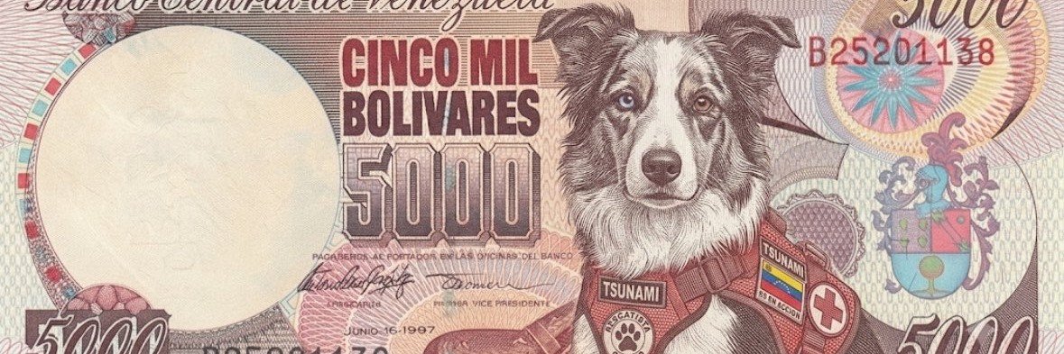 ProfCoello60's profile banner image