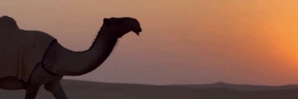 ‏نــور القمر🤎‏ banner