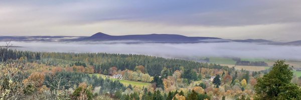 TheMackWalks Profile Banner