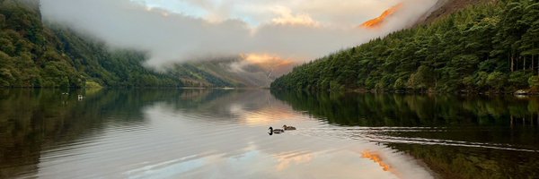 sgfurlong Profile Banner