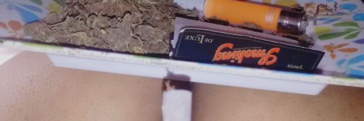 De Pernambuco pra você banner