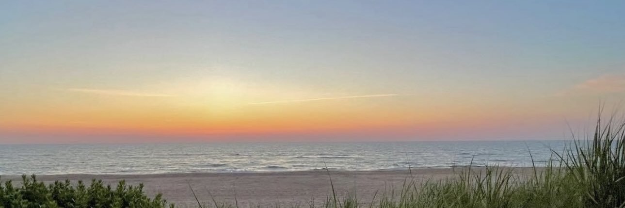 Haley Gibson banner
