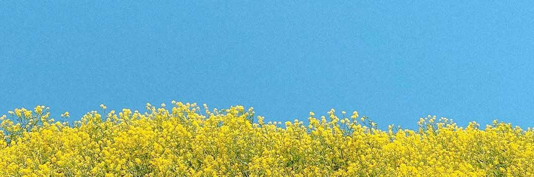 p_puchy's profile banner image