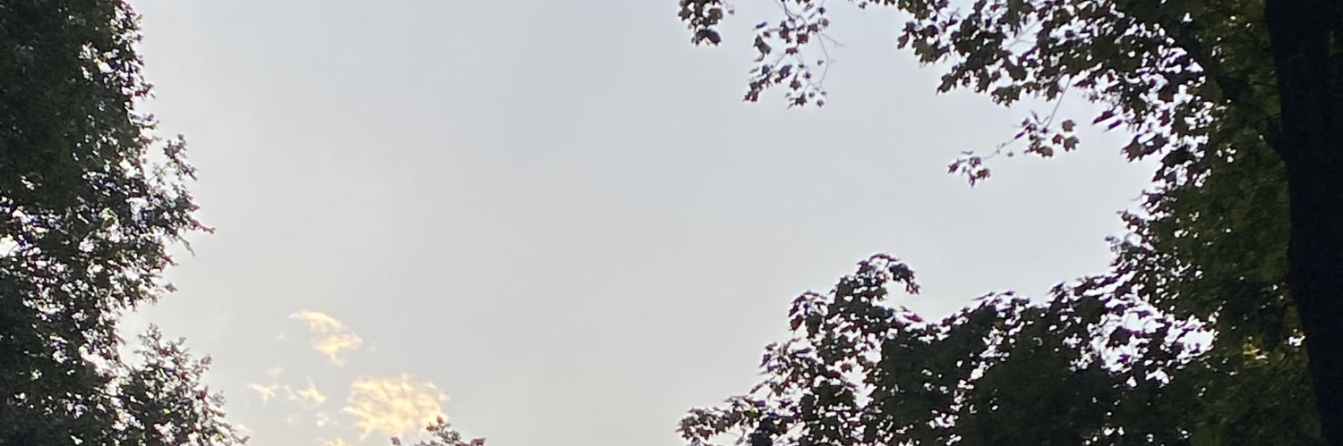 Anika banner