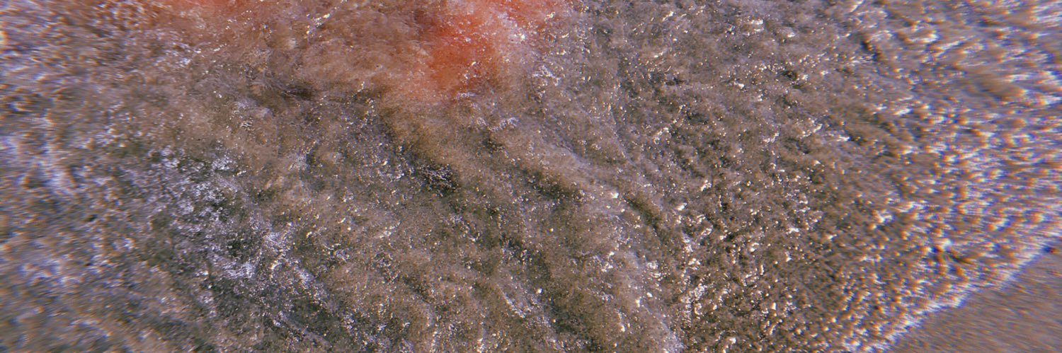 _vigorsol's profile banner image